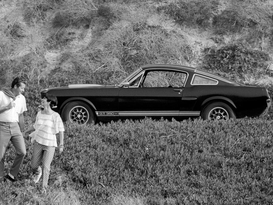  Shelby GT350H 1966 года  (фото 25 из 28)